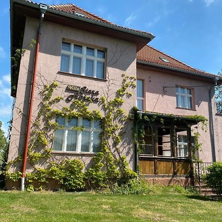 Villa Stara Apteka Srebrna Gora Exterior photo